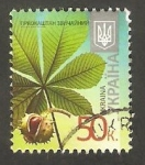 Stamps Ukraine -  Milésima 2013 II - Castaño de Indias, aesculus hippoga