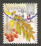 Stamps Ukraine -  Frutos