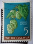Stamps Yugoslavia -  Humulus Lupulus
