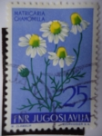Stamps Yugoslavia -  Matricaria Chamomilla