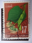 Stamps Yugoslavia -  Tilia Cordata.