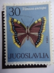 Stamps Yugoslavia -  Vanessa Antiopa.