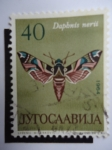 Stamps Yugoslavia -  Dapbnis Nerii.