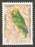 Stamps : America : El_Salvador :  182 -  Lora Nuca Amarilla