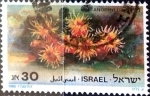 Stamps : Asia : Israel :  Intercambio crxf 0,35 usd 30 a. 1986