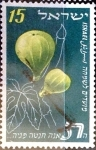 Stamps : Asia : Israel :  Intercambio cxrf 0,20 usd 15 p. 1952