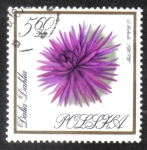 Sellos de Europa - Polonia -  Flores en Colores Naturales