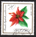 Stamps : Europe : Poland :  Flores en Colores Naturales