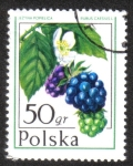 Stamps Poland -  Frutas del Bosque