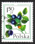 Stamps Poland -  Frutas del Bosque