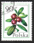 Sellos de Europa - Polonia -  Frutas Silvestres