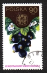 Stamps Poland -  19a Intl. Hortcultural Cong., Varsovia