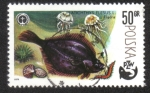 Stamps Poland -  Pesca y Protección del Medio Ambiente