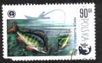 Stamps : Europe : Poland :  Pesca y Protección del Medio Ambiente