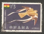 Stamps Ghana -  5 - Ave caprimulgus