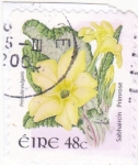 Sellos del Mundo : Europa : Irlanda : flor- primula vulgaris
