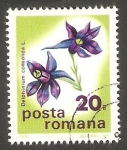 Sellos de Europa - Rumania -  Flor