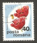 Sellos de Europa - Rumania -  Flor