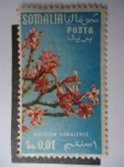 Stamps Somalia -  Adenium Somalense
