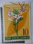 Stamps Yugoslavia -  Flores .- Nicotiana Tabacum.