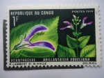 Stamps : Africa : Republic_of_the_Congo :  Acanthaceae - Brillantaisia vogeliana.