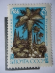 Stamps Russia -  CCCP. Rusia.