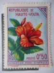 Stamps Burkina Faso -  Flores - Hibiscus RosA  Sinensis