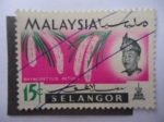 Stamps : Asia : Malaysia :  Rhyncostylis Retusa - Selangor.