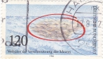 Stamps Germany -  prevenir la contaminación del medio ambiente