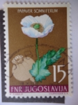 Stamps Yugoslavia -  Papaver Somniferum.