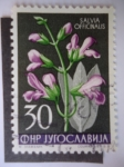 Stamps Yugoslavia -  Salvia Officinalis