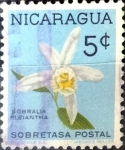 Stamps : America : Nicaragua :  Intercambio 0,20 usd 5 cent. 1962