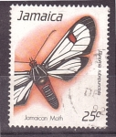 Sellos de America - Jamaica -  serie- Polillas endémicas