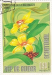 Stamps Equatorial Guinea -  proteccíon a la naturaleza- Hibbertia volubilis
