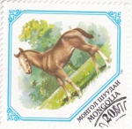 Stamps Mongolia -  potro