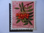 Stamps Switzerland -  pro Juventute 1975.