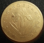 monedas de Europa - Hungr�a -  1994 (Anverso)