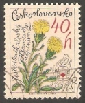 Stamps Czechoslovakia -  2331 - Flor hieracium alpinum