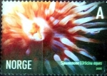 Stamps Norway -  Intercambio 1,50 usd 6 krone 2005