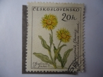 Stamps : Europe : Czechoslovakia :  Ceskoslovensko.