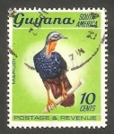 Sellos de America - Guyana -  287 - Águila marudi 