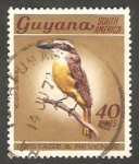Stamps Guyana -  291 - Ave kiskadee