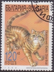 Stamps Bulgaria -  Exotic Shorthair