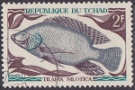 Stamps Chad -  Tilapia Nilotica