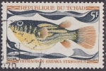 Stamps : Africa : Chad :  Tetraodon Fahaka Strigosus