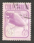 Stamps : America : Cuba :  Manati