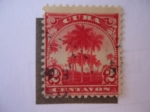 Stamps Cuba -  Palmeras.