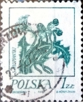 Stamps Poland -  Intercambio 0,20 usd 1 z. 1974