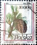 Stamps Poland -  Intercambio 0,75 usd 10000 z. 1993