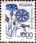 Sellos de Europa - Polonia -  Intercambio 0,50 usd 1000 z. 1989